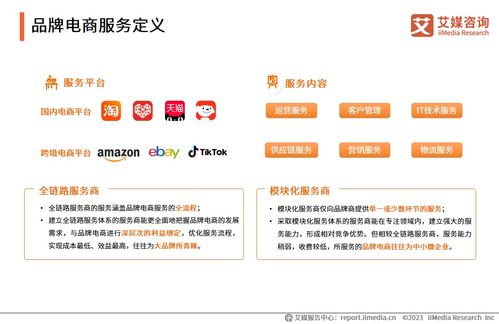 2023年中國品牌電商服務(wù)行業(yè)研究報告 信息咨詢服務(wù)的價值重塑與發(fā)展洞察